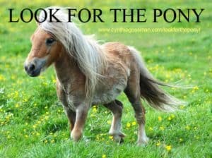 ponyblog